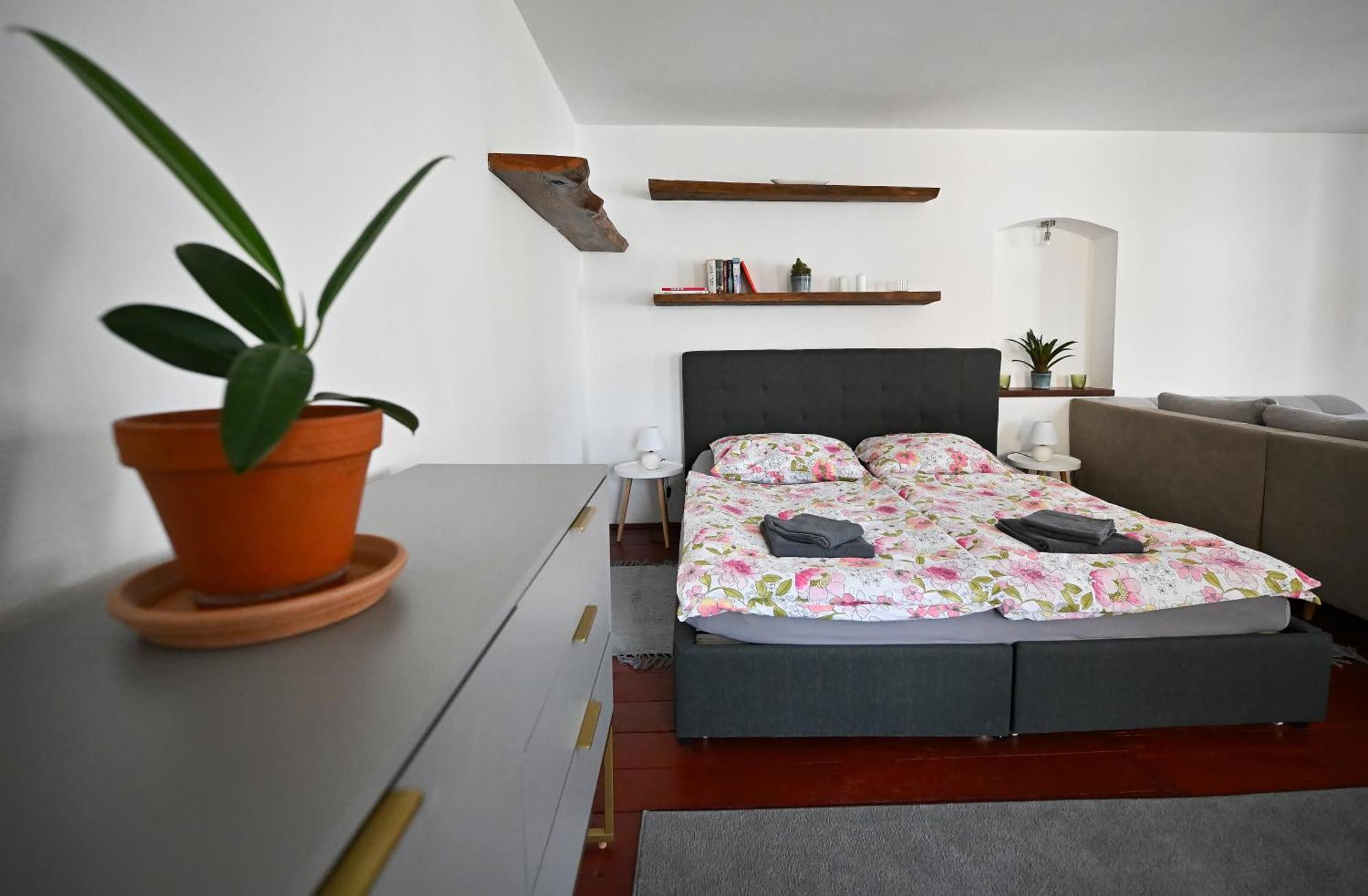 Třešť Apartman U Spinaru מראה חיצוני תמונה